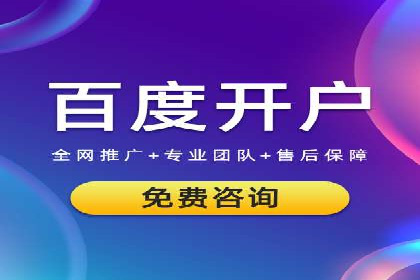 百度推广在电商行业的应用案例分析
