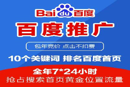 竞价推广公司案例：实战技巧与策略